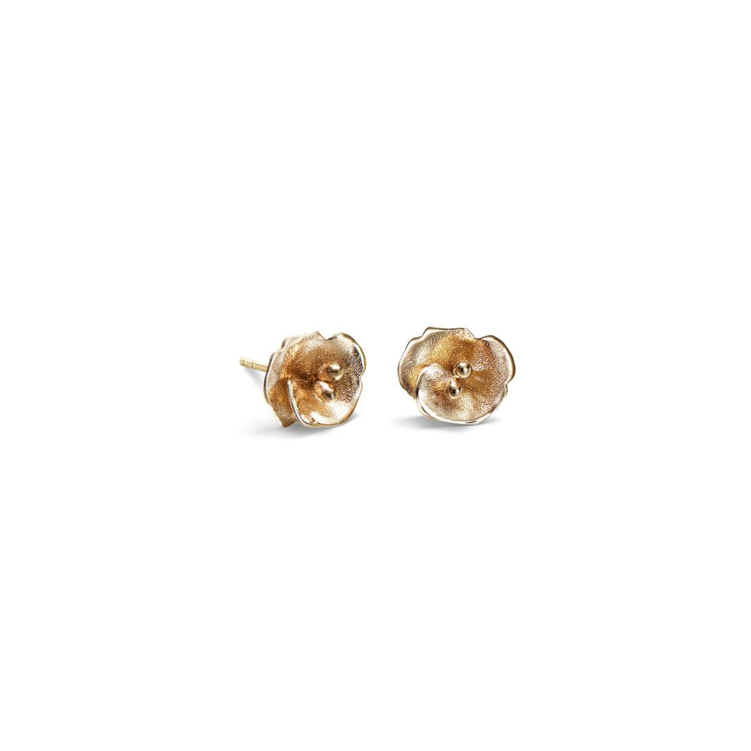 Kalevala Summer Night Rose, Earrings, Mini, Yellow Gold